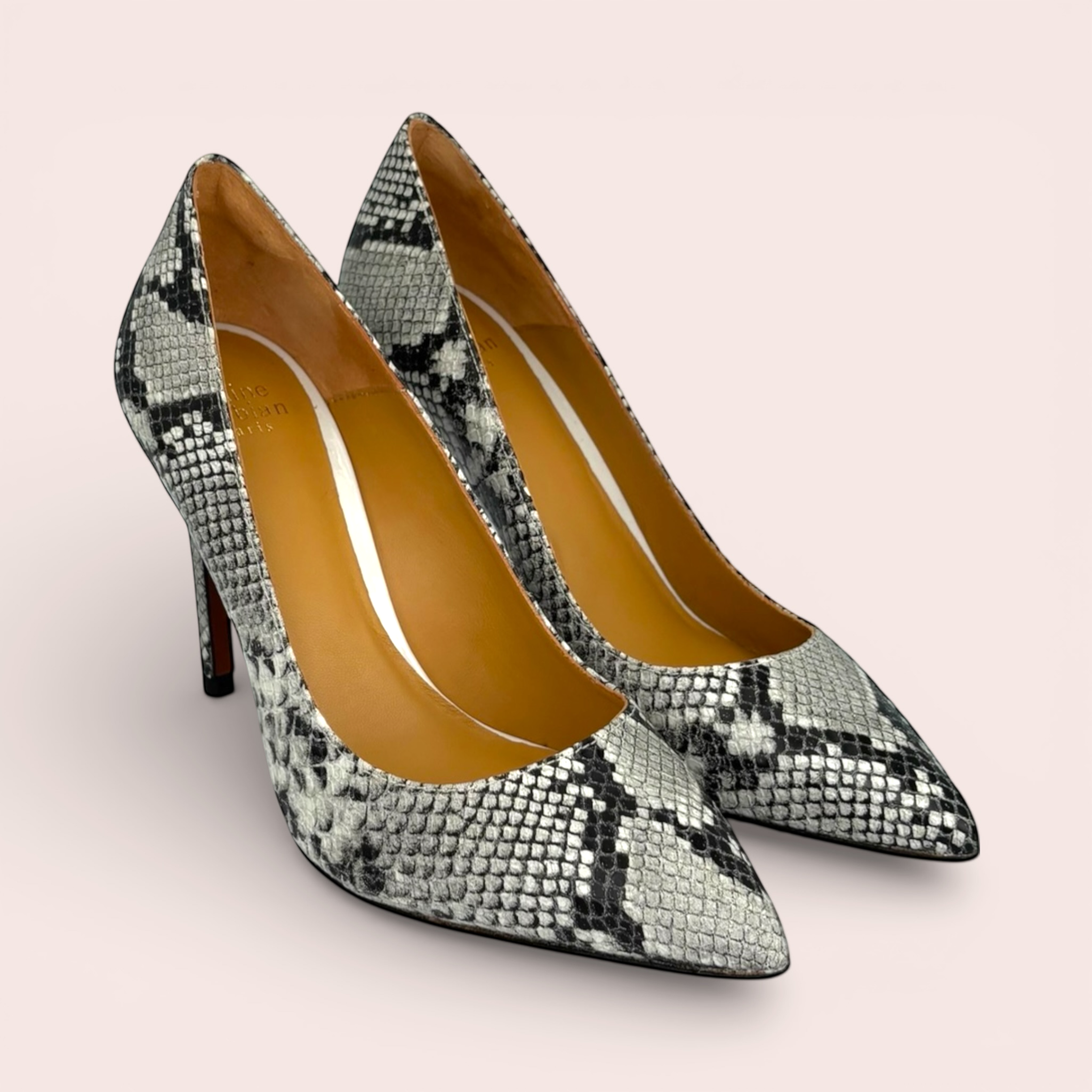 Francesca grey, black, and white python print leather stiletto heels with a pointed toe and 105mm heel.